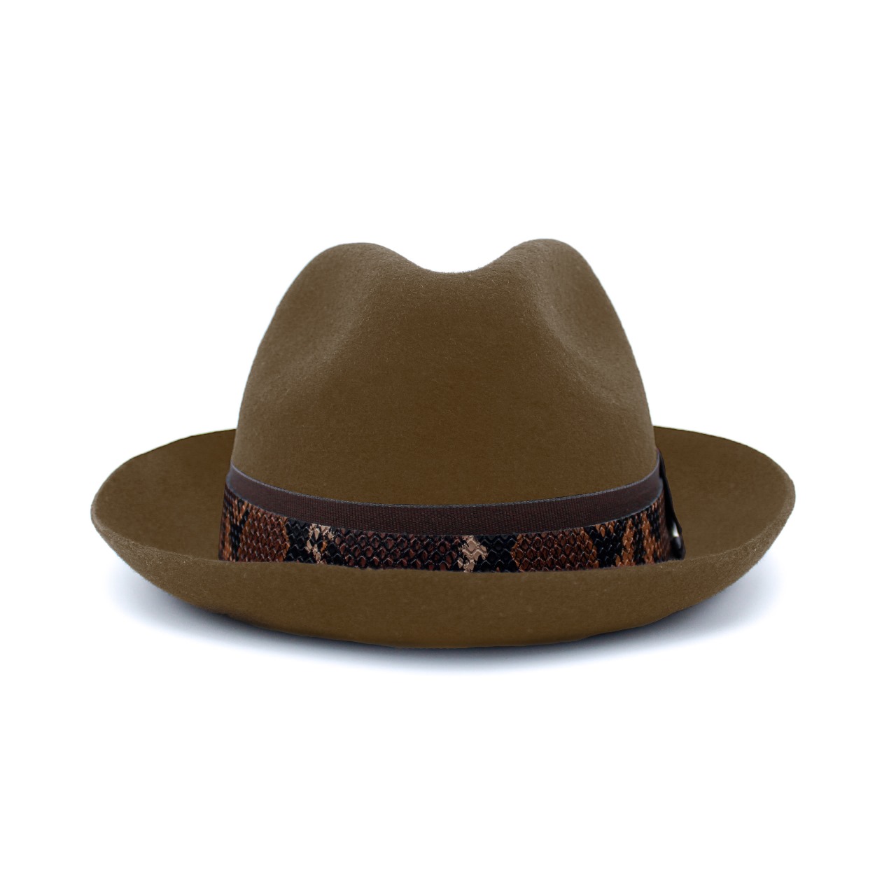 SF_BLESSING_CAMEL